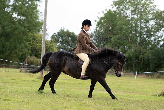 CLASS 19 - The NPS M&M and BRP Amateur Ridden