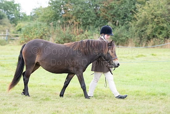 CLASS 23 - Young Handler