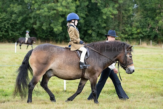 CLASS 14 - The NPS M&M / SHOWING CLASSICS Lead Rein