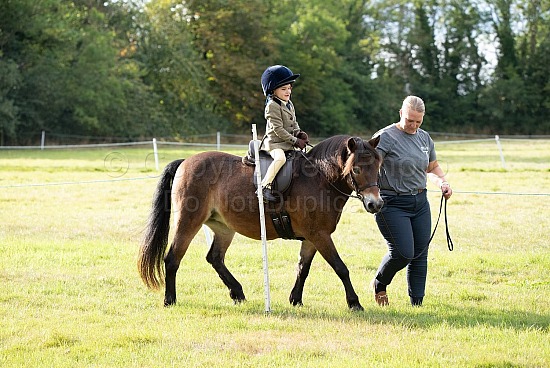 CLASS 29 - Handy Pony (In-Hand/Lead Rein/Ridden)
