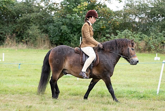 CLASS 24 - Very Novice Ridden