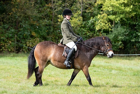 CLASS 18 - The NPS/DARGAVEL M&M YOUNG RIDDEN