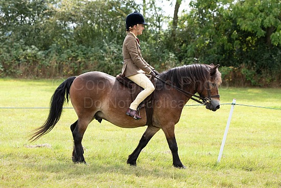 CLASS 20 - The NPS/RINGSIDE STUD M&M Open Ridden