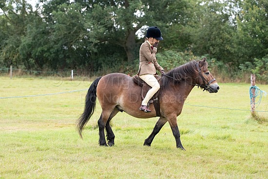 CLASS 17 - The NPS/PICTON M&M NOVICE RIDDEN National Championship (MM-NR)