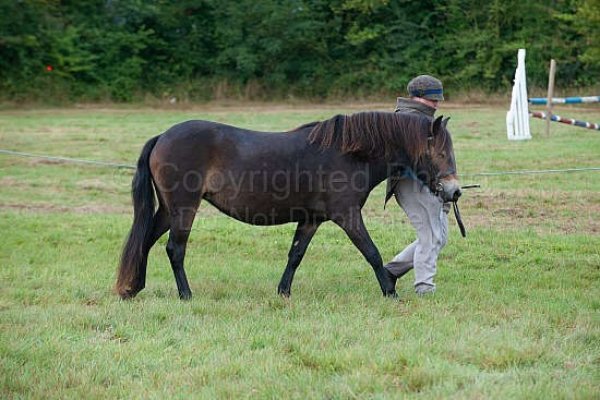 Class 5 - 2 YEAR OLD, filly, colt or gelding foaled 2022