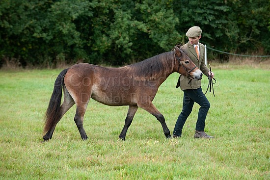 CLASS 6  - YEARLING, filly, colt or gelding foaled 2023
